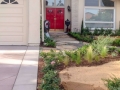 Hardscape3.jpg